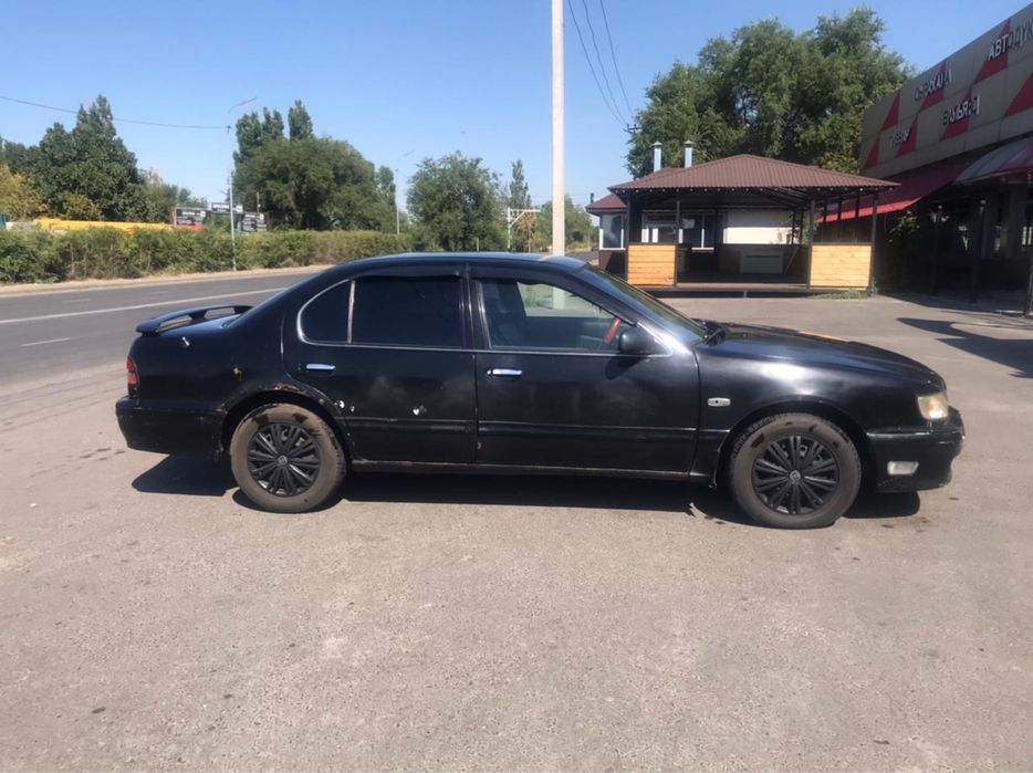 Жігіт әйелдің суретін жалап жатыр