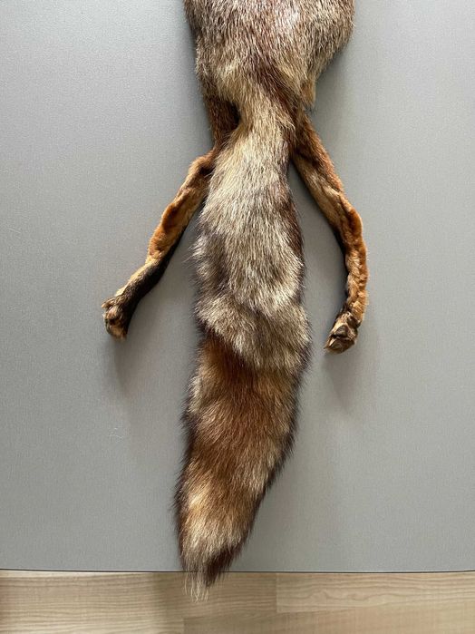 Естествена кожа от лисица (цяла).