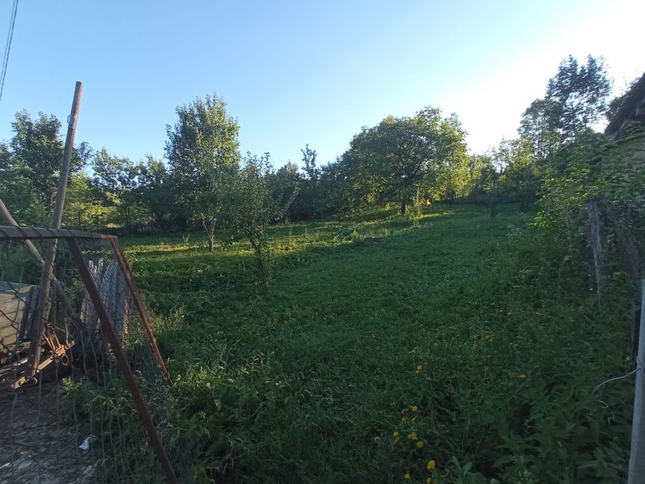 Teren intravilan 1000 mp