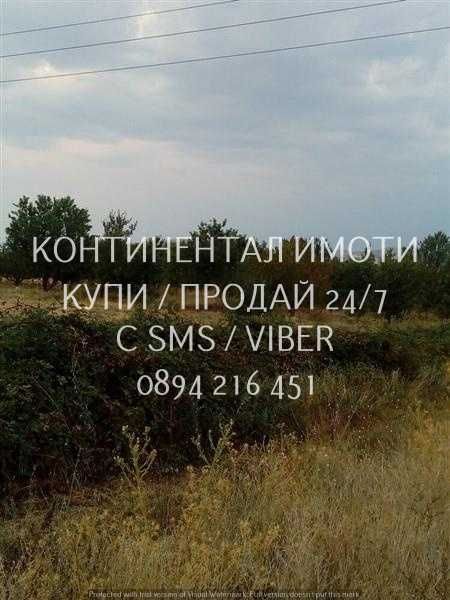 Кодк 70026. Черешова градина на около 1км от селото - лесен достъп