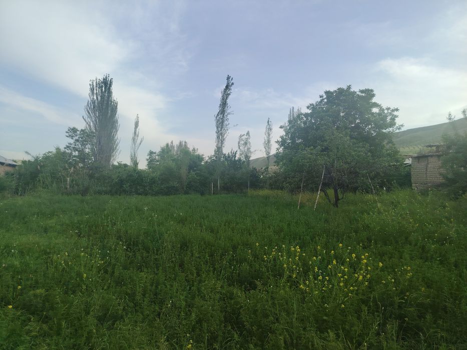 Dam olish maskani, Dacha va yashash uchun tabiat qo'ynidagi uchastka