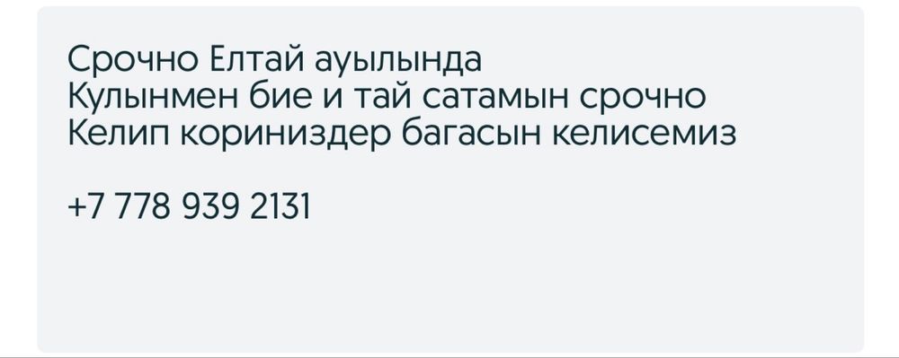 Кулынды БИЕ И ТАЙ срочно