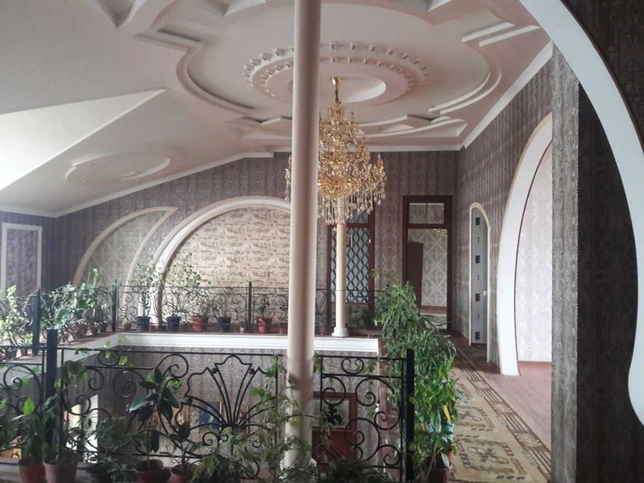 Arzon Hostel, mehmonxona.