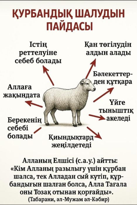 Қой сою қызметі / Құрбан айт