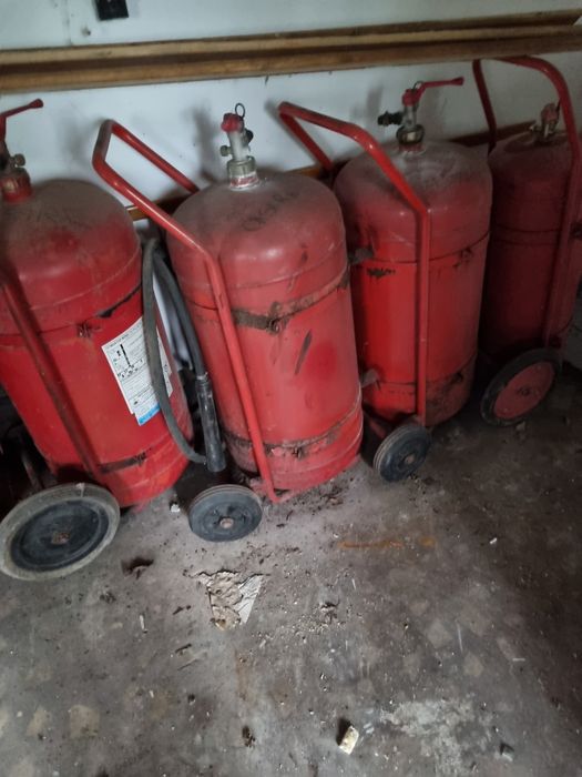 Instinctor bun pentru gratar