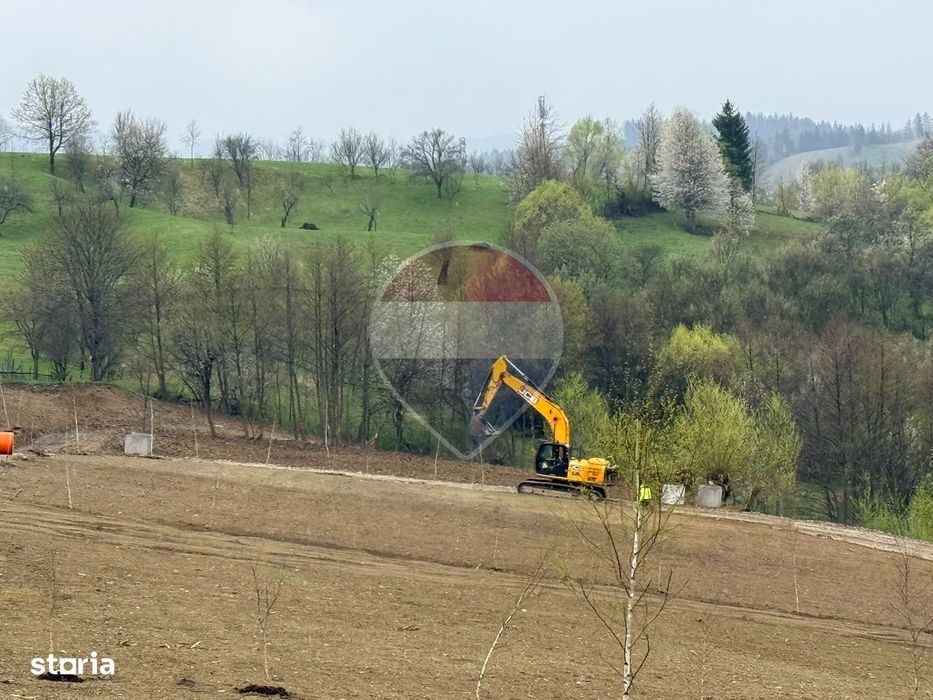 Teren 1,000mp Sohodol, cu utilitati / Strada Sohodol