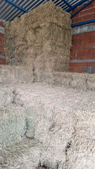 Люцерна доставка на място