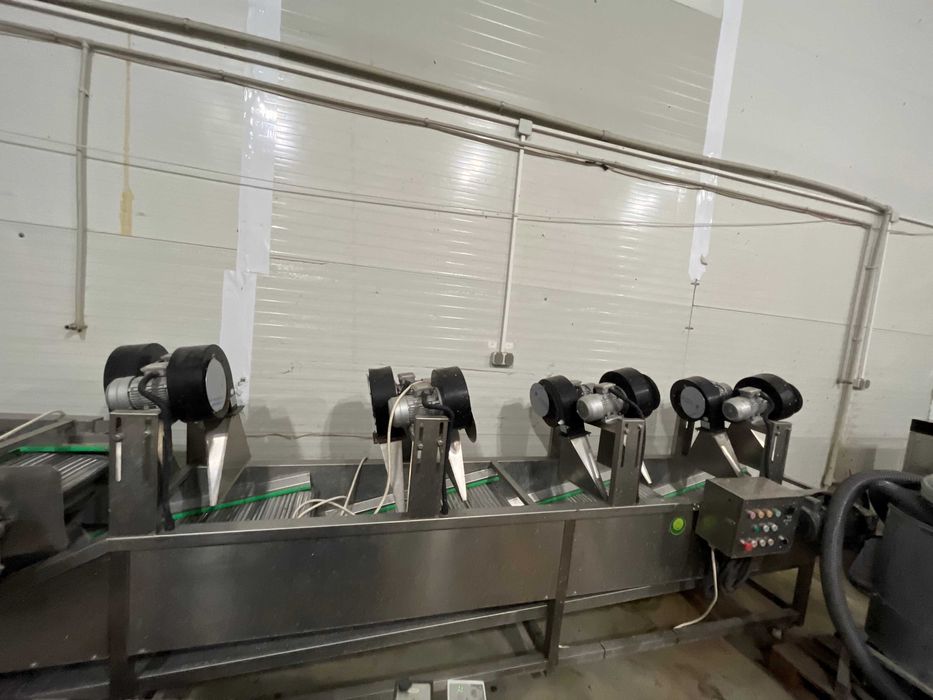 Професионална линия за измиване на плодове и зеленчуци, и изсушаване