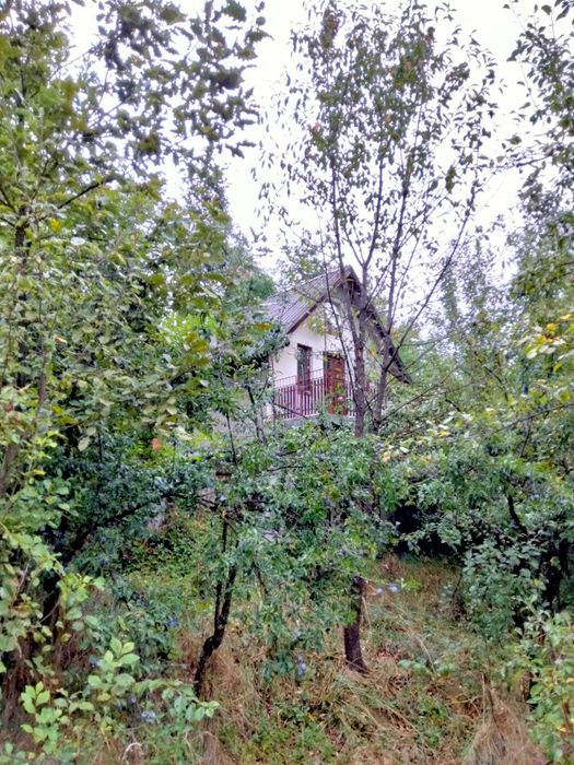 Teren 2600 mp Valea Brazilor-Curtea de Argeș, cu cabana, investitie