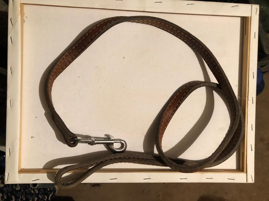 Переноска для животных