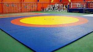 Борцовские маты НПЭ (2*1*0,04м) рассрочка есть