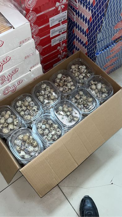 Перепелинное тушка