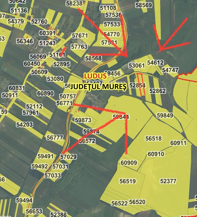 Teren  7.000 MP – localitatea Ludus / Rosiori