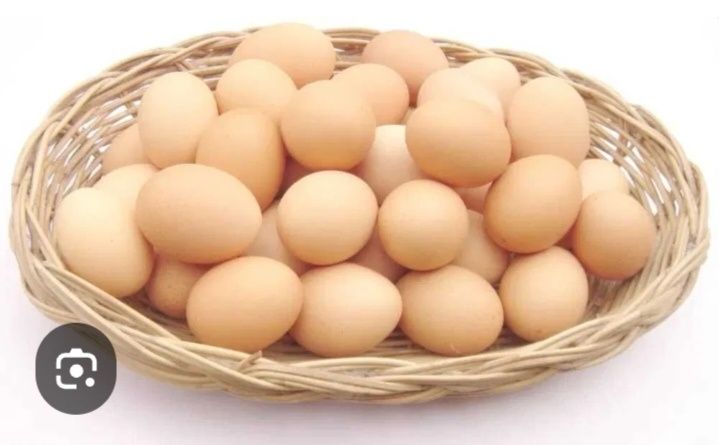 Uy tuhum (дамашни) Sotiladi 2500 sum hurozi bor bostirsa ham buladi