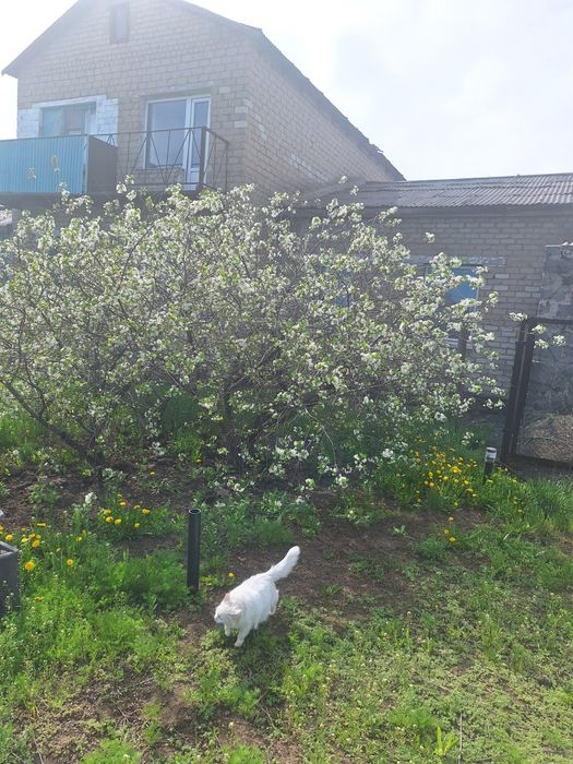 Продаём коттедж г.Сарань