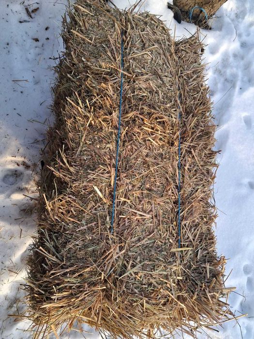 Baloti de lucerna,fan ,otava