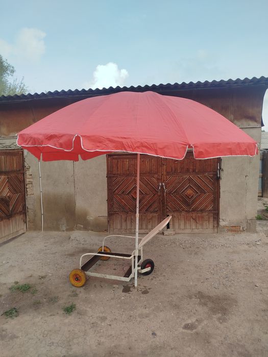 Платье,зонт,пылесос,термопо,переноска