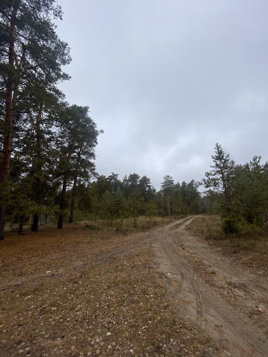 Продажа земельного участка срочно