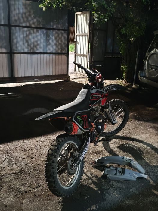 progasi palima 300 на 4 клопе