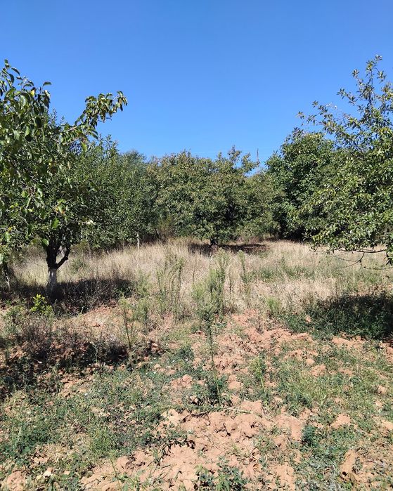 Продава се Къща в с. Крайници, Област Кюстендил - 140 кв.м за 636 €/кв.м - Снимка #5