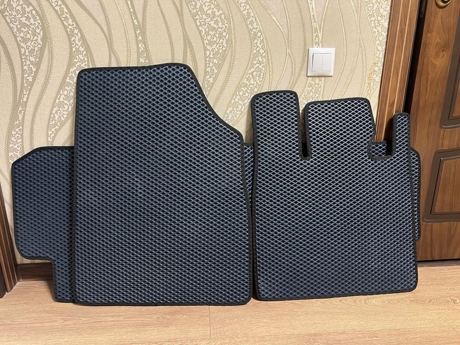 Полики Эвакор доя BYD song plus dmi