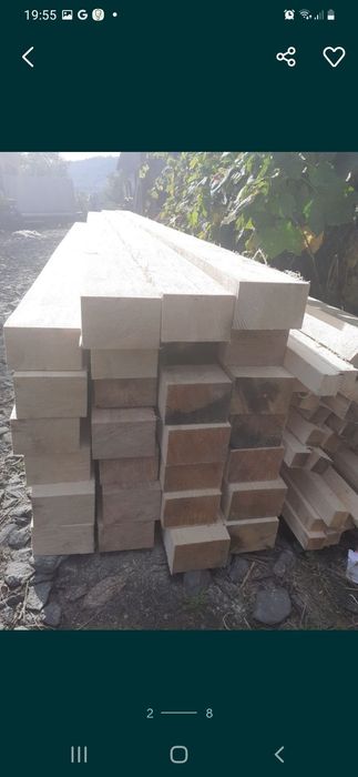 VÂND CHERESTEA Răsinoase. Preț de producător.