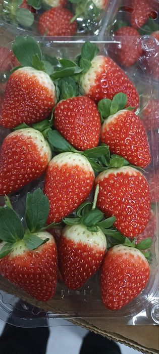 Свежие клубника, "zam_fruit" фирмаси