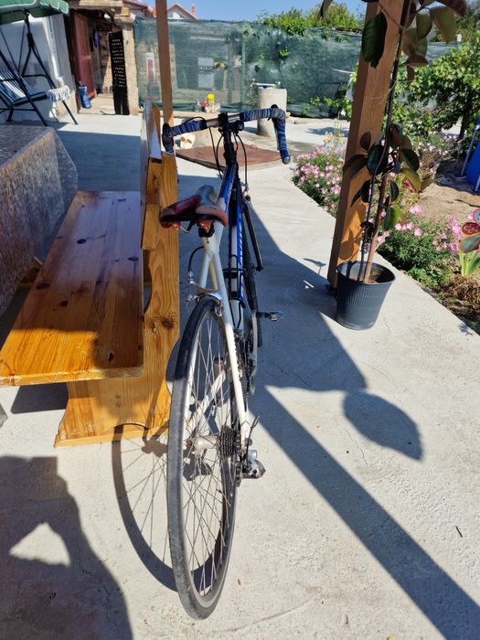 Velosiped batavus
