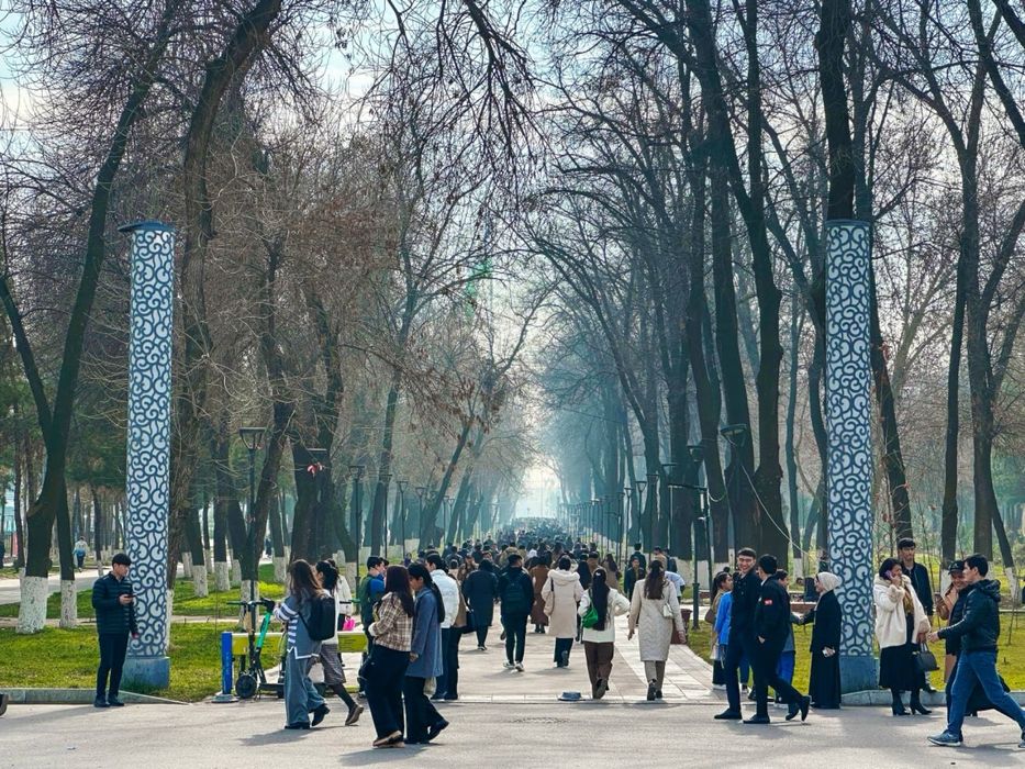 Действующее кафе под ключ в топовой локации (ВУЗ Городок)