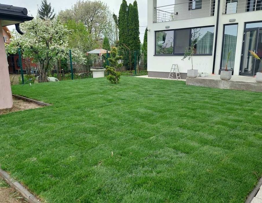Gazon Verde Intens pentru Amenajări Profesionale