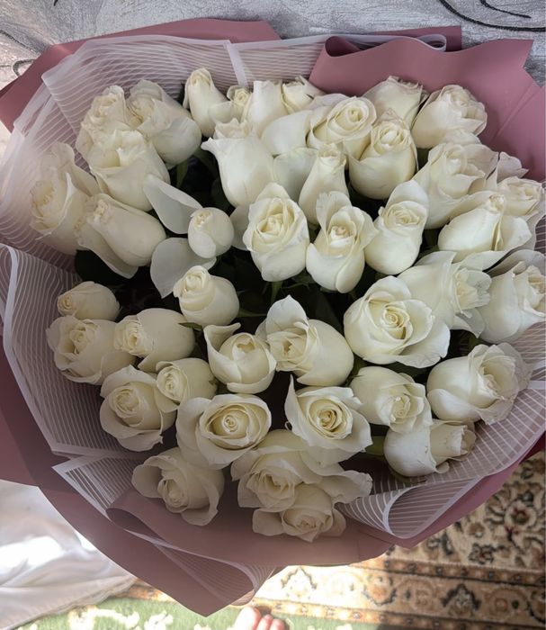 Белый 51 галандский роза