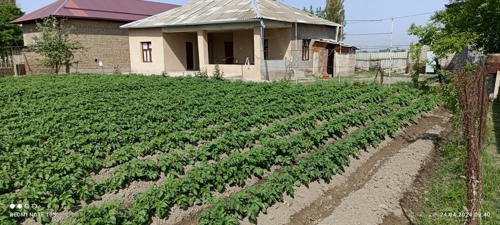 Продам дом 10 соток. Полностью благоустроен. 4 комнаты.