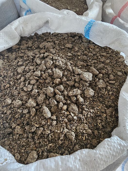 Vand cereale , porumb , grau , orz ,malai , ovaz , sorg , floarea