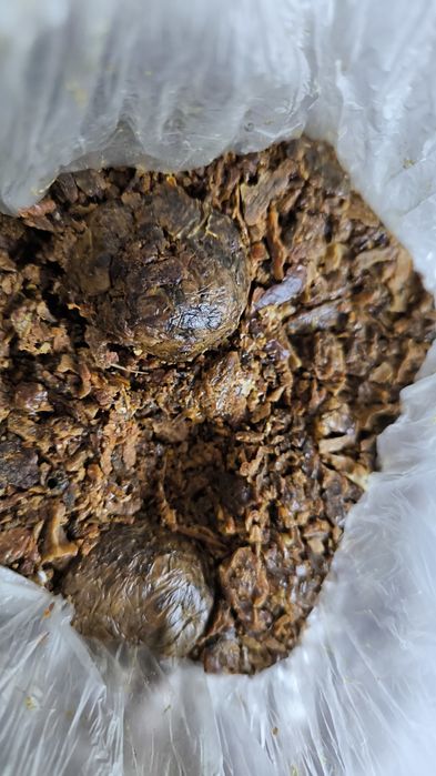 Propolis cu grija ales