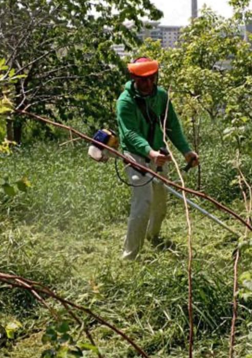 Ingrijire propietati, defrisat si tunz gazon