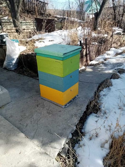 Улья рута без пчел