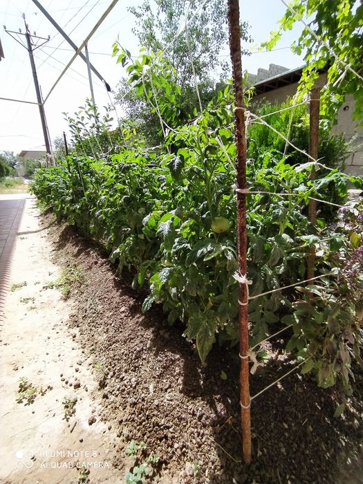 Biogomus Удобрение для огородов и сада цена оптовая