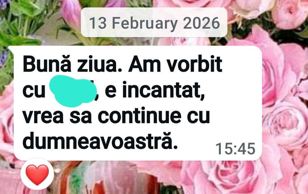 Profesor (PFA) ofer meditații pentru limba română și limba engleză