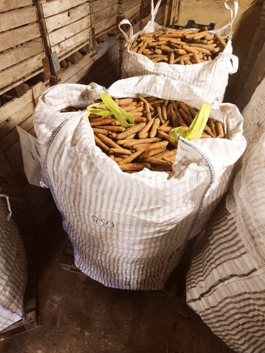 Vând Morcovi import