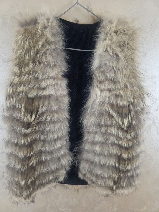 Vesta vulpe 38 M