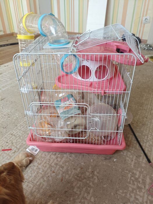 Продам клетку для хомяка