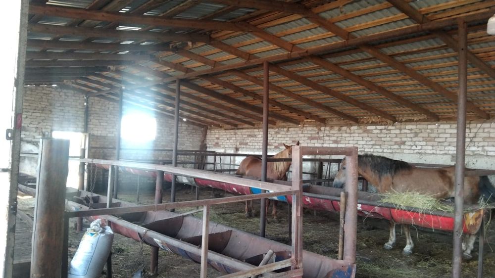 Продам базу  для сельхоз хозяйства