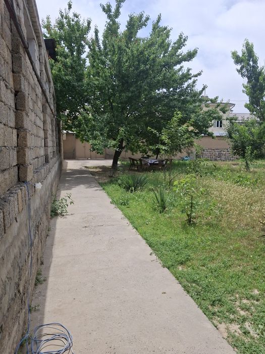 Oltin tepa mebelnida ,7.8 sotix hovli