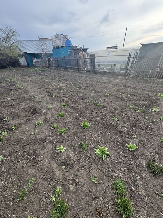 Продается дача с домиком