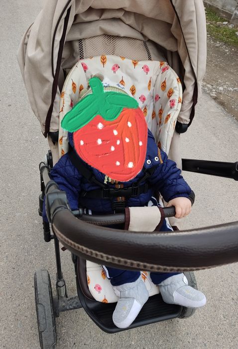 Коляска 2 в 1 Lonex