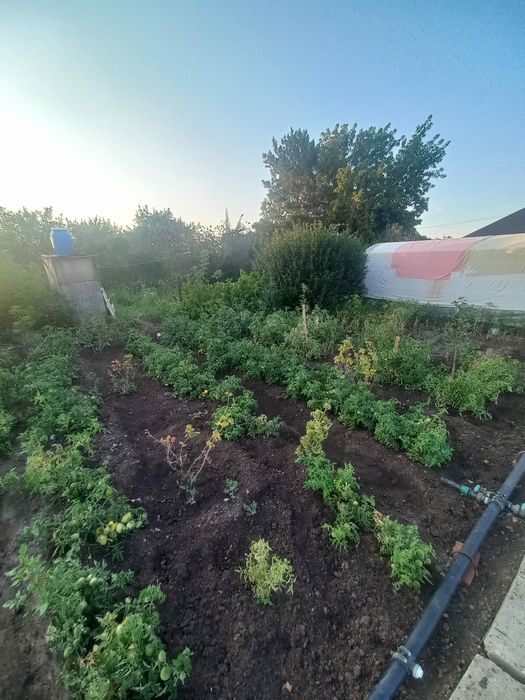 Продам дачу в районе саздинского водохранилища