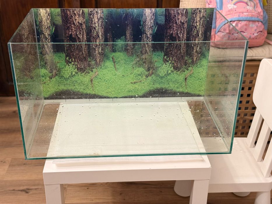 Acvariu cu tot complet pt peste