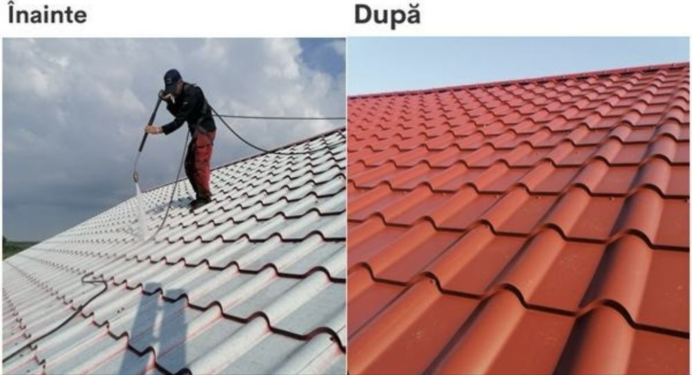 Vopsit  acoperișuri reparati
