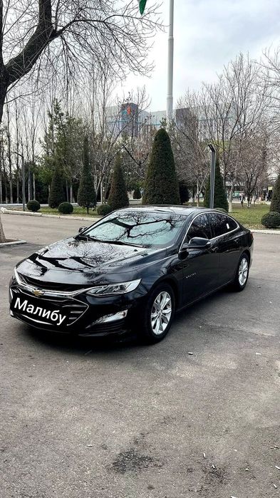 Аренда с Выкупом Malibu 2 Premier