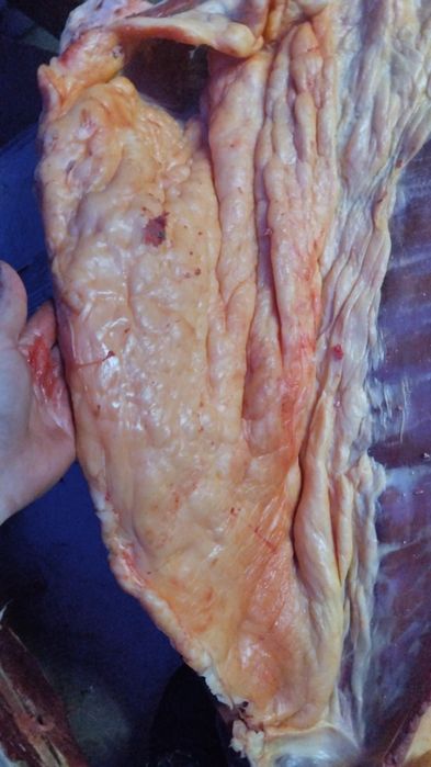 Мясо Конина Байтал